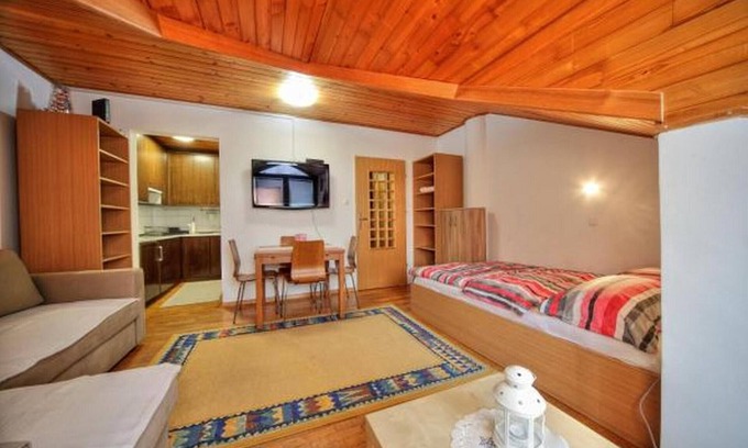 Kranjska Gora Apartment | Apartment Viki - One Bedroom Apartment