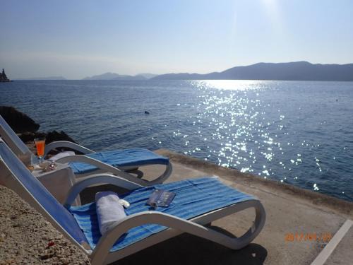 Slano Apartment | Apartment Villa Bonadea