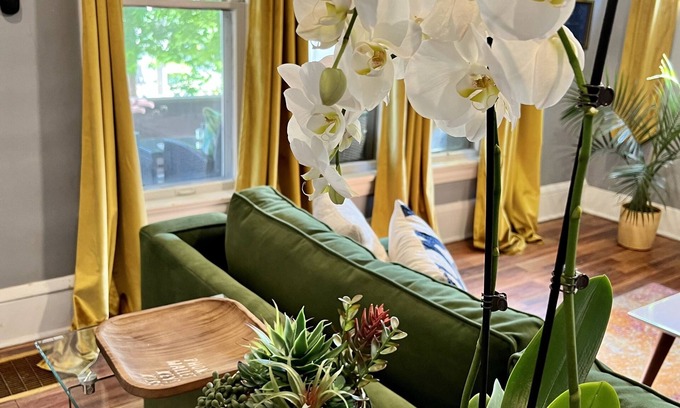 West Akron Apartment | Apartment with a boho, relaxed and soulful vibe in the heart of Highland Square.