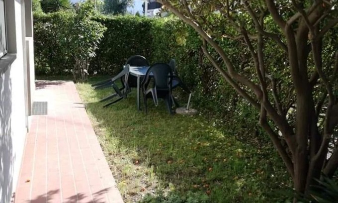 Marina di Massa Apartment | Apartment With Garden