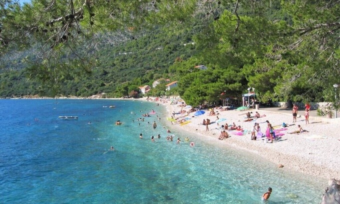 Zivogosce Apartment | Apartments Čedomir, (11594), Živogošće, Croatia