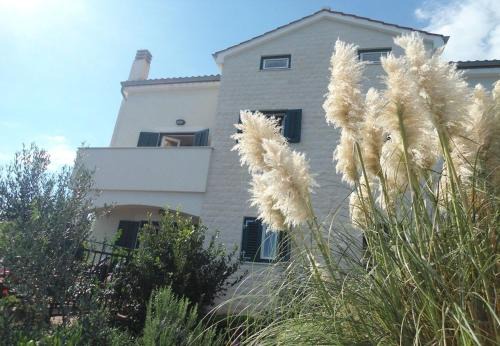 Ilovik Apartment | Apartments Azur