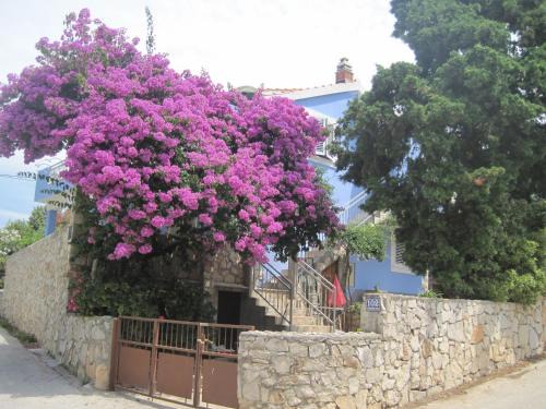 Maslinica Apartment | Apartments by the sea Maslinica, Solta - 14748