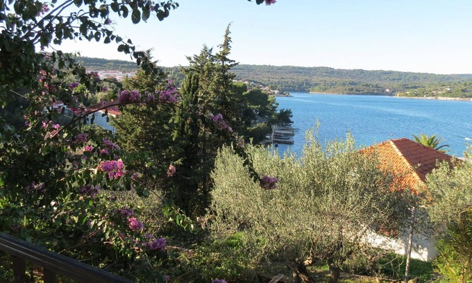 Necujam Apartment | Apartments Janja (10177-A2) - Necujam - island Solta