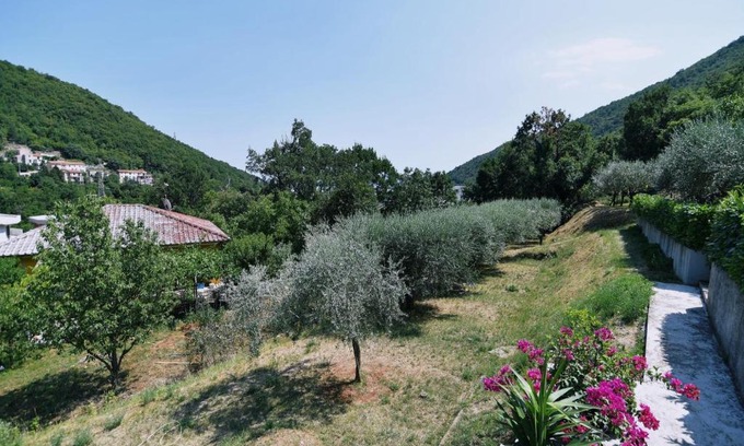 Sucici Apartment | Apartments Jolanda