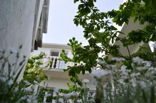 Muc Apartment | Apartments with a swimming pool Gizdavac, Zagora - 12053
