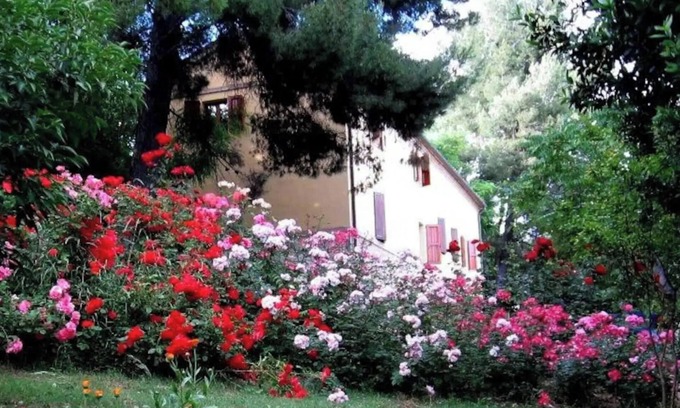 Monte San Vito Other | APP. in the MARCHIGIAN COUNTRY, Multifamily