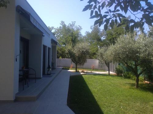 Murine House | App Neno
