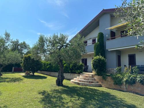 Basanija Apartment | App Trinodis