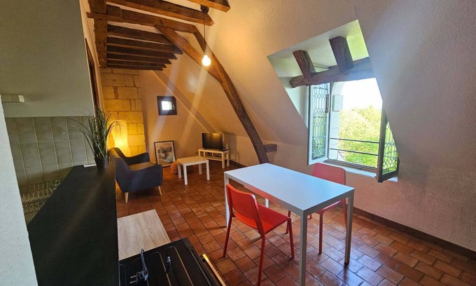 Saumur Apartment | Apparently historic in the center of Saumur