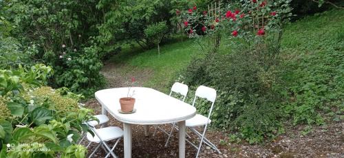 Condom Apartment | Appart' bucolique en plein centre ville