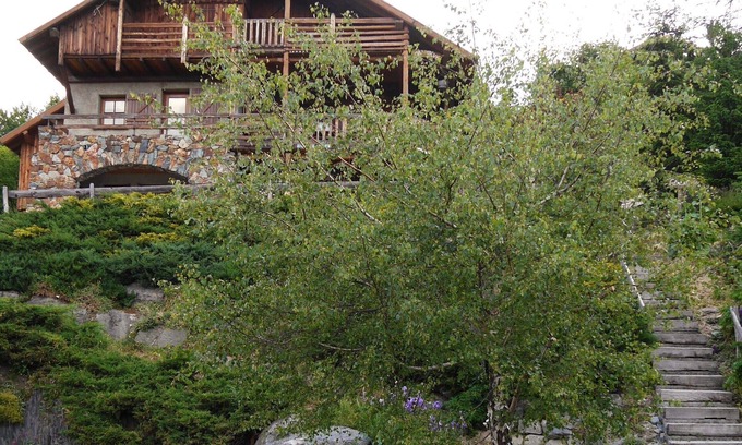 Villard-Reculas Apartment | APPART RDC DS PRIVATE CHALET MY REVE DOMAINE ALPE D'HUEZ IN VILLARD RECULAS