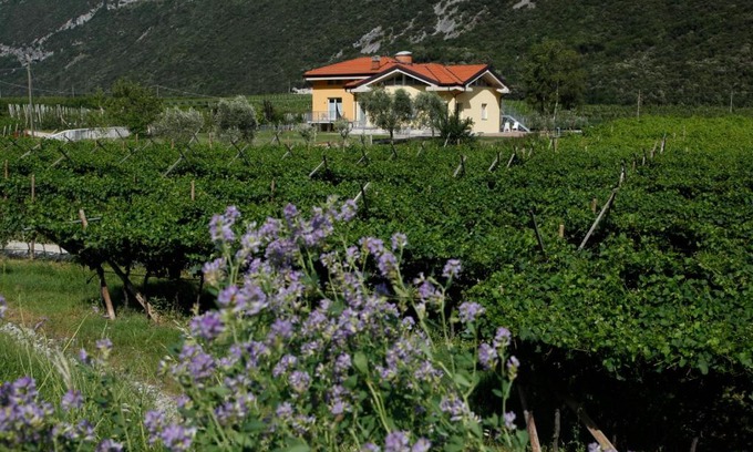 Dro Apartment | Appartamenti Al Vigneto