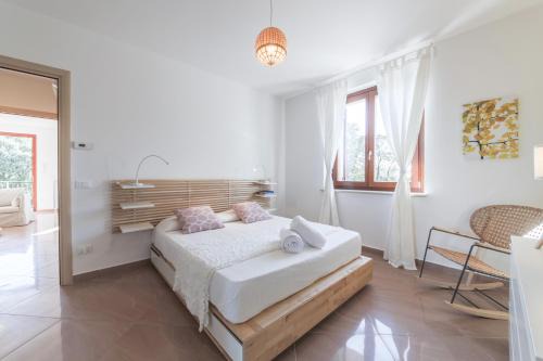 Sommacampagna Apartment | Appartamenti Orchidea e Glicine