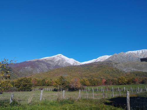 Amatrice Apartment | Appartamento Amatrice