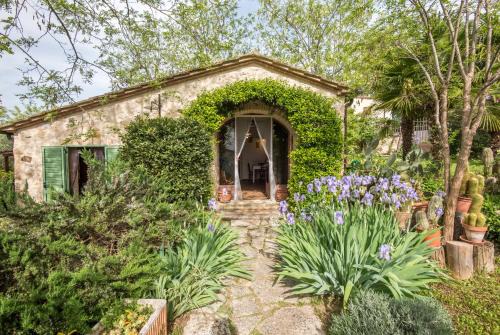 Colle di Val d'Elsa Apartment | Appartamento Capannina