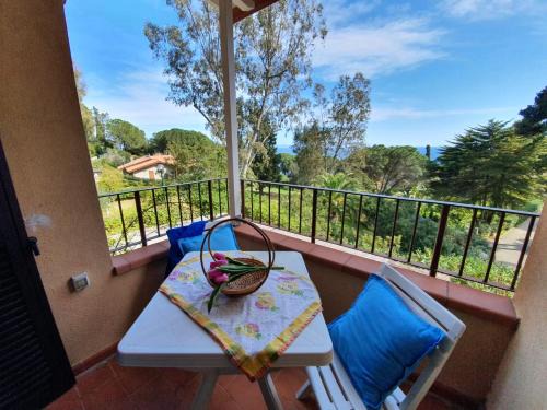 Capo D'arco Apartment | Appartamento Capo Arco agrumeto
