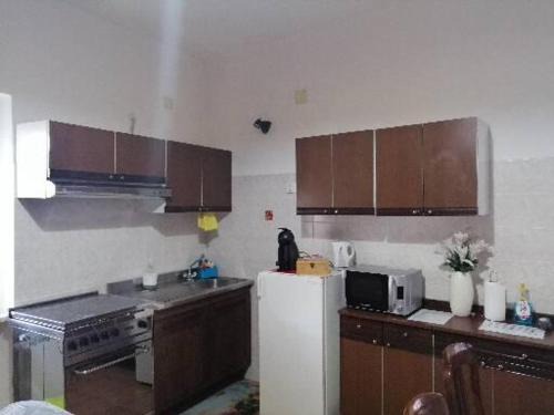 Dogliani House | Appartamento Il gatto