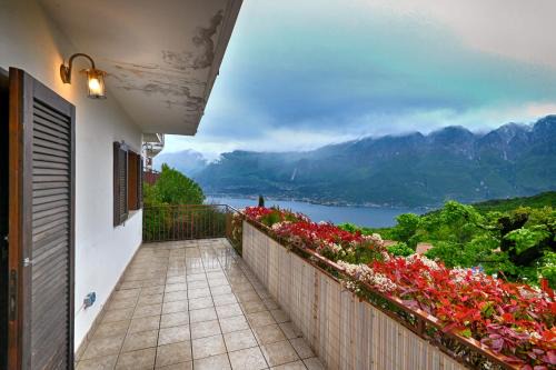 Prabione Apartment | Appartamento Il Gufo - Theater Home