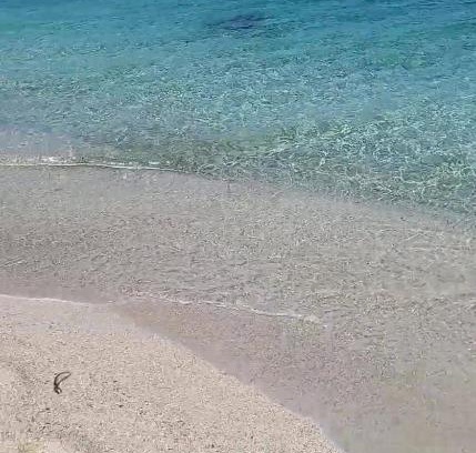 Centro Commerciale Apartment | Appartamento platamona