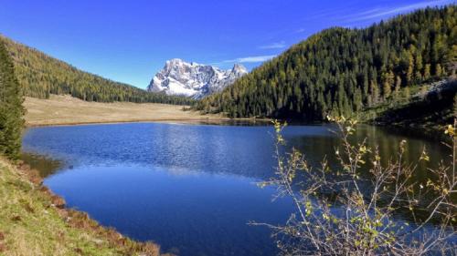 Prade Apartment | Appartamento Vanoi nel cuore verde del Trentino