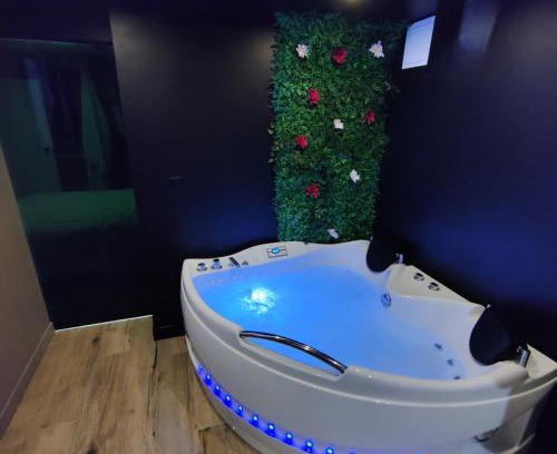 Villiers sur Orge Apartment | Appartement avec jacuzzi