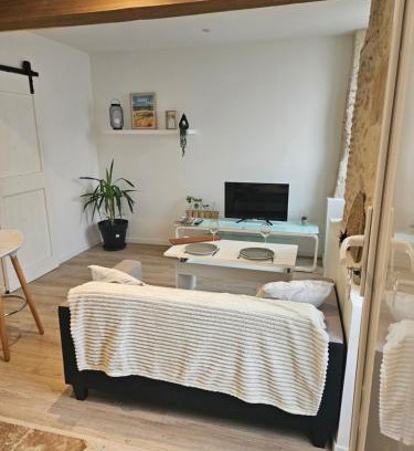 Auch Apartment | Appartement centre historique d'Auch