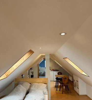 Neusatz Apartment | Appartement direkt am Schwarzwald