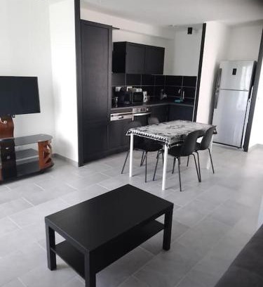 Perignat-les-Sarlieve Apartment | appartement 2 T2 neuf et élégant proche zénith