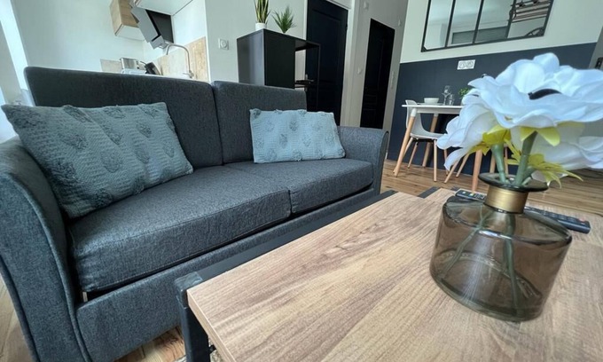 Saint-Etienne Apartment | Appartement LE Balné