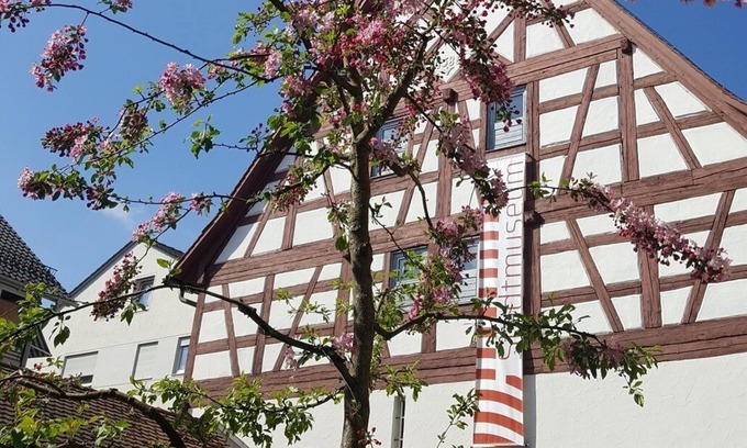 Bad Saulgau Apartment | Appartement mit Terrasse am Stadtmuseum - Ruhig und Zentral Gelegen
