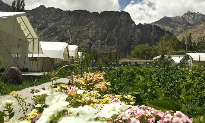 She RV Rental | Apple Cottage Nubra - Glamping