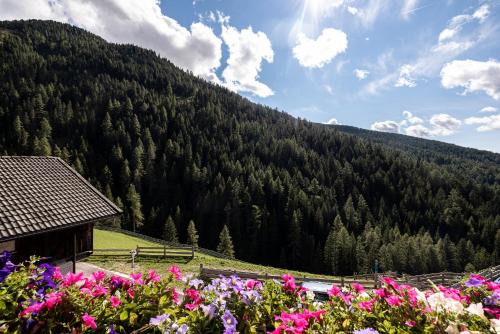 Sarentino Apartment | Apt Talblick Hinterproslhof