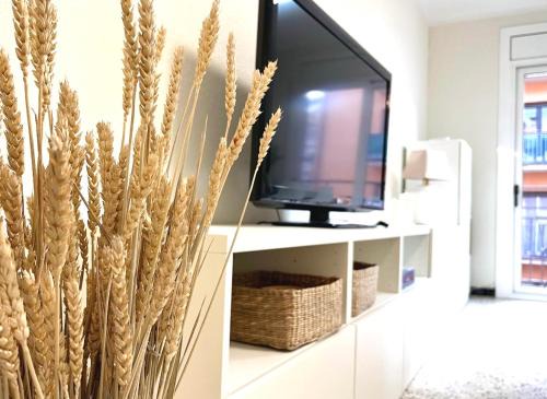 Arbucies Apartment | Apto el Piset, acogedor y céntrico del Montseny