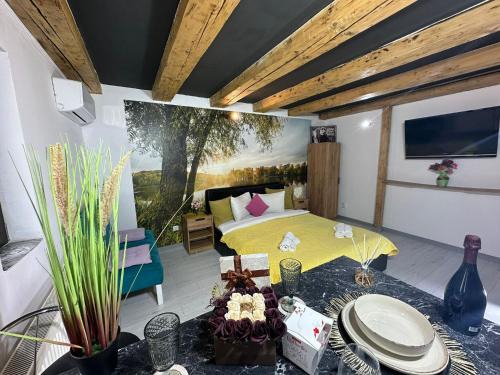 Craiova Apartment | Aqua Studio Central Free Parking