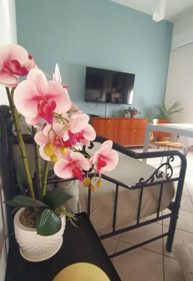 Pescara Apartment | Arapietra Home