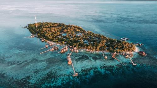 Arborek House | Arborek Diving Homestay R4