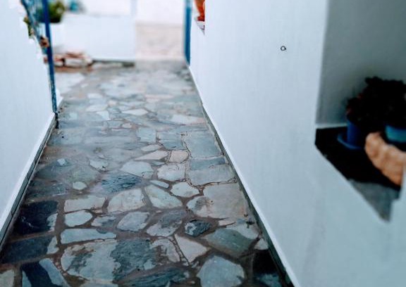 Psathi Apartment | ARGYRO'S HOUSE