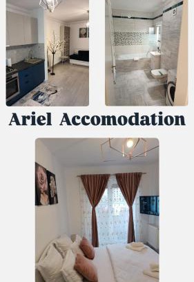 Tractorul Apartment | Ariel Apartment - Balcony & Free Parking