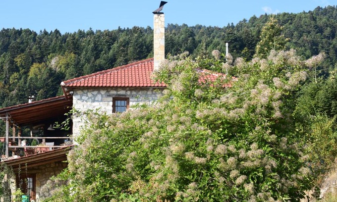 Mesaia Trikala Ski Chalet | Arli House