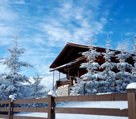 Dambovicioara Ski Chalet | Artem Chalet