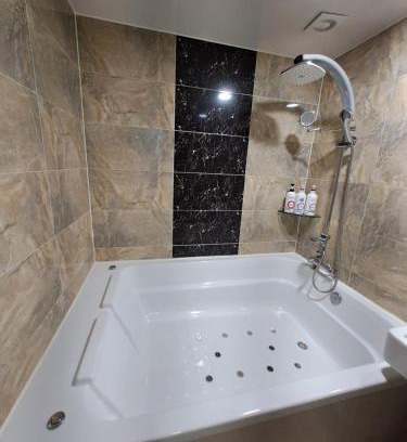 Asan Hotel | Asan Ritz Hotel