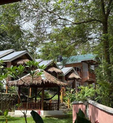 Bohorok Hotel | Asim Paris Guesthouse & jungle trekking