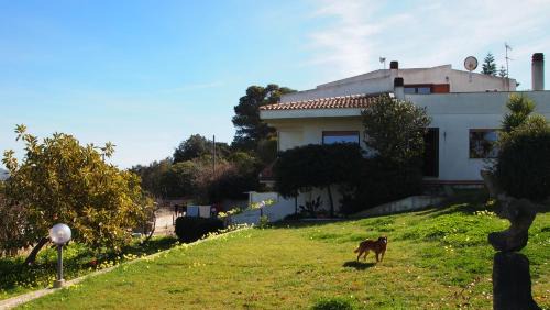 Sassari House | Asinara