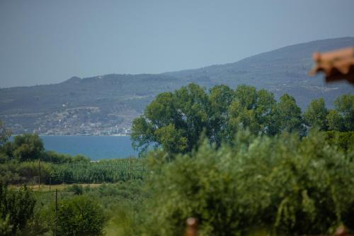 Messini House | At The Messinian's Bay
