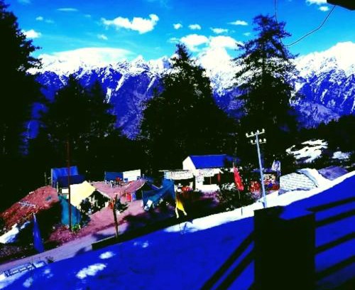 Auli House | Auli Laga Homestay