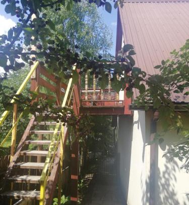 Suwalki House | aura