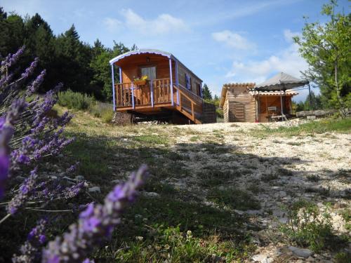 Aurel House | Aurel inattendu