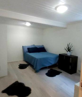 Tromso House | Aurora rooms in shared apartment nr1 We are doing privet northen light trip, reindeer trip and sommaroy Fjord trip