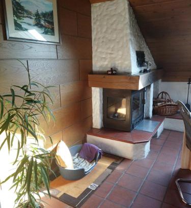 Winzer Apartment | Aussergewöhnliche Atelierferienwohnung mit Balkon an der Donau